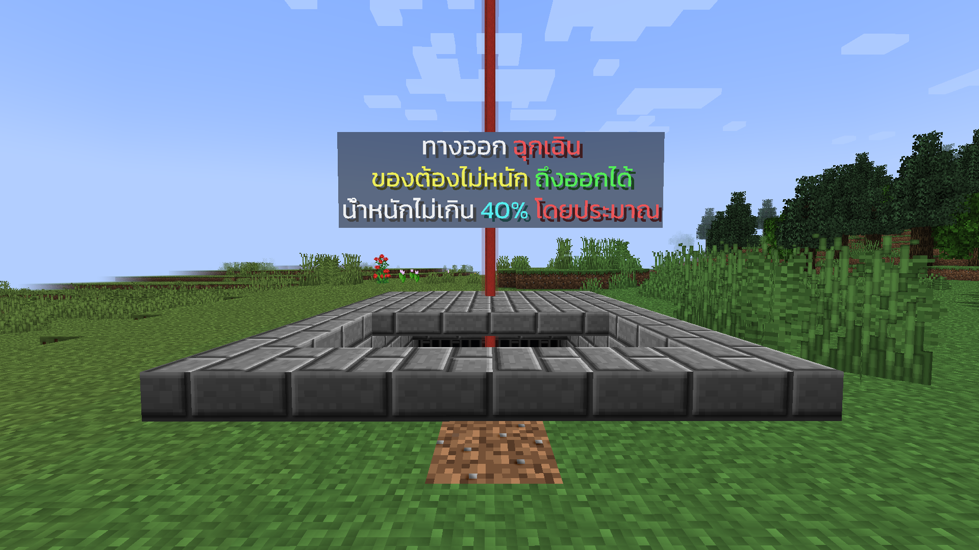 06.png