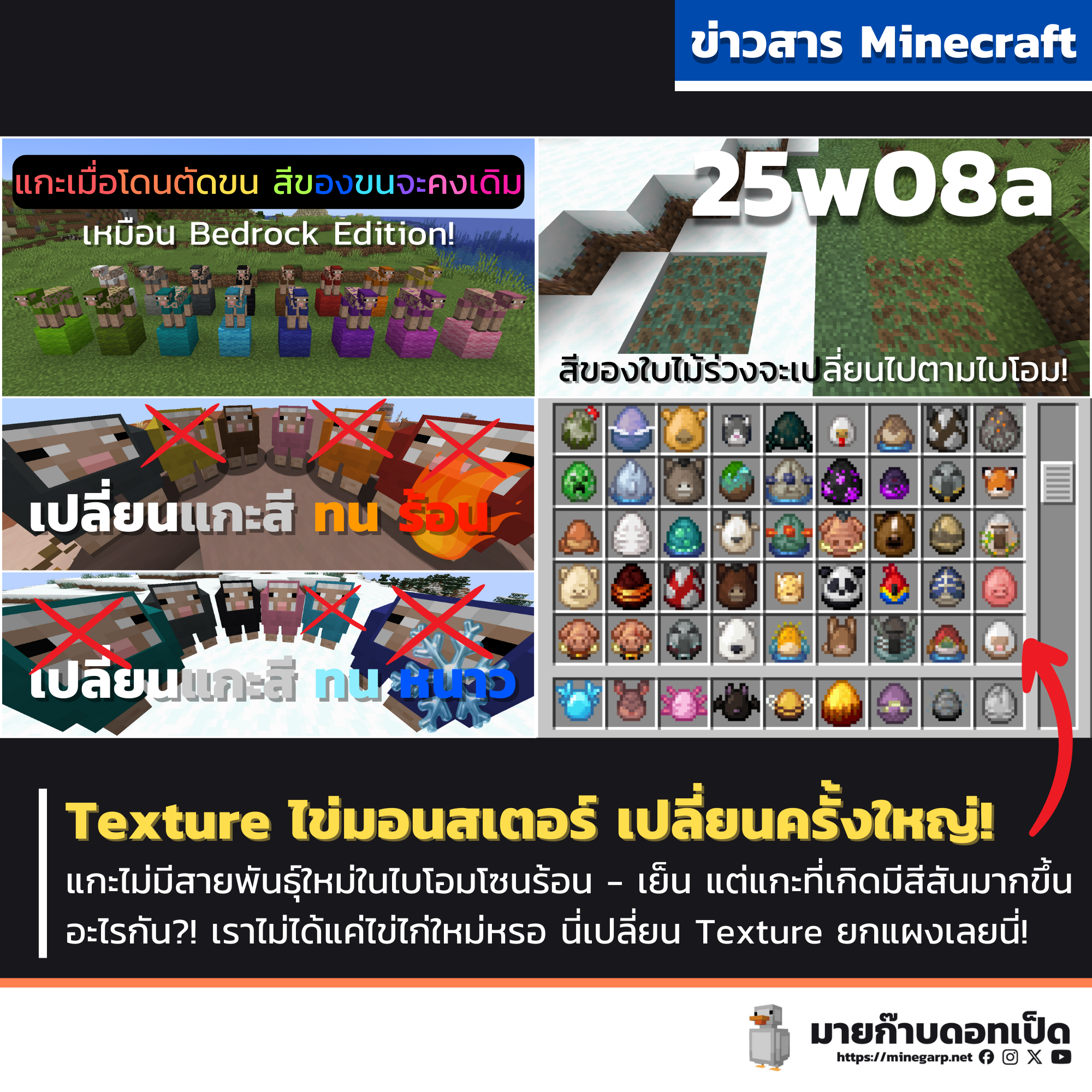 Copy of สำเนาของ Minegarp NEWGRAPHIC.png