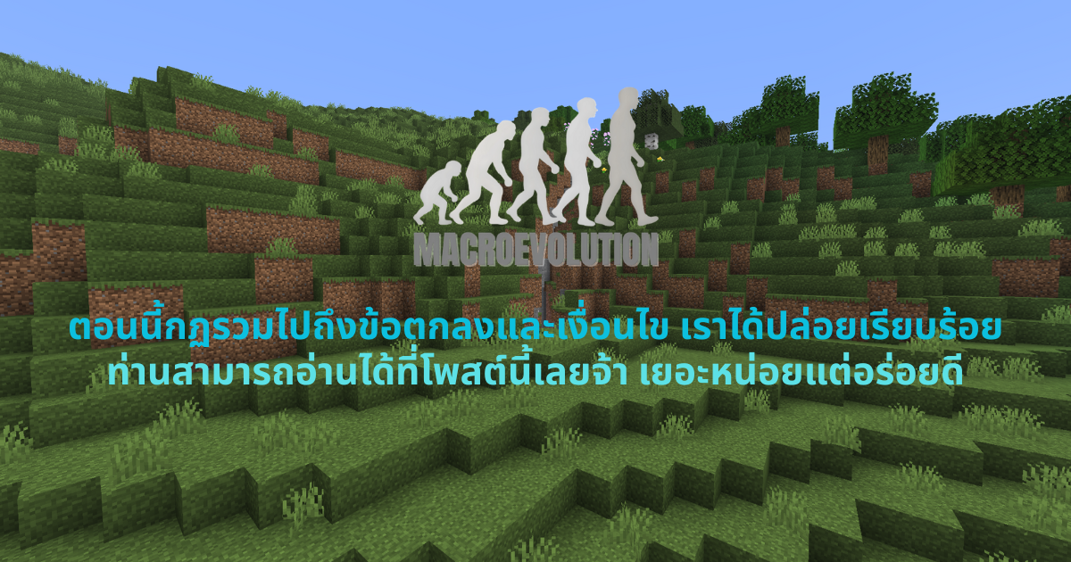 RuleAndT&C.png