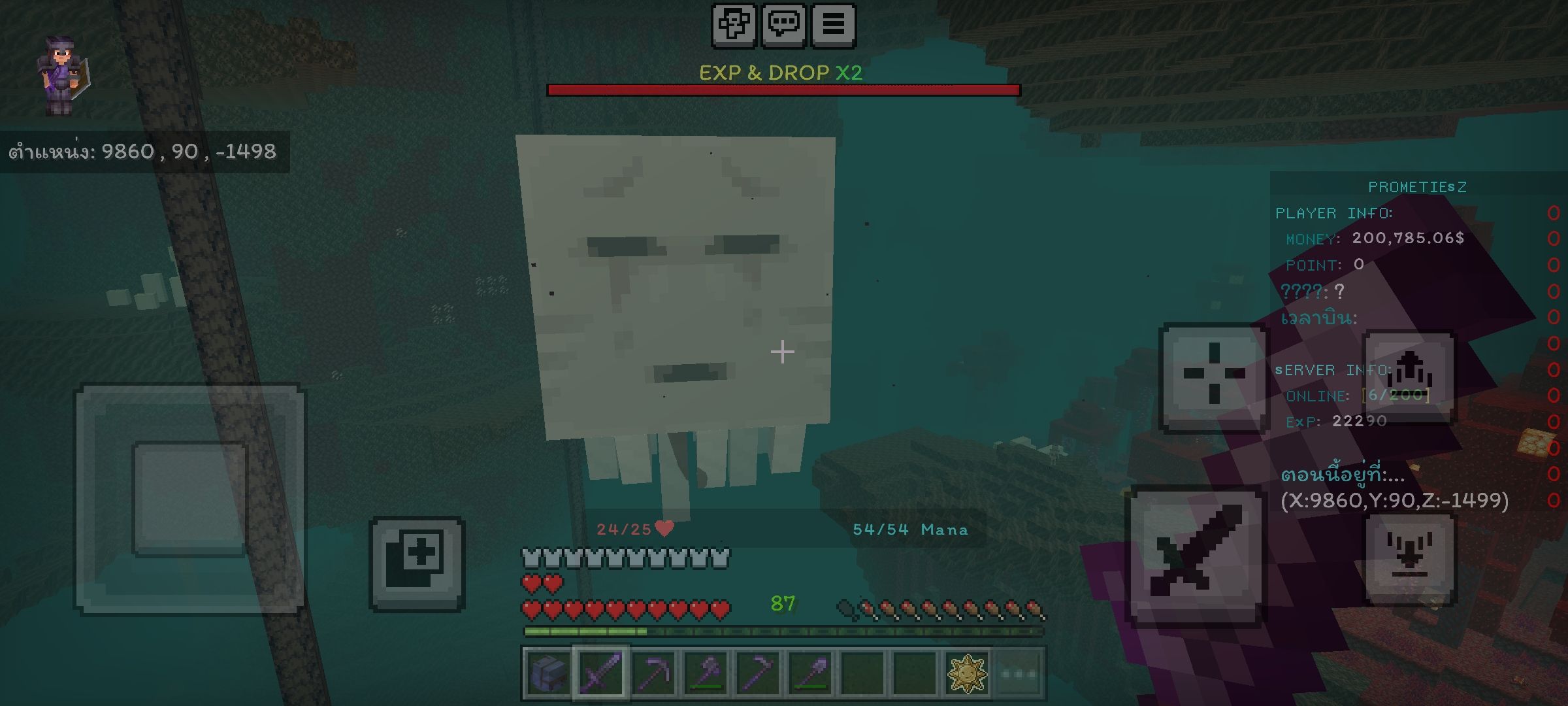 Screenshot_20250622_150614_Minecraft.jpg