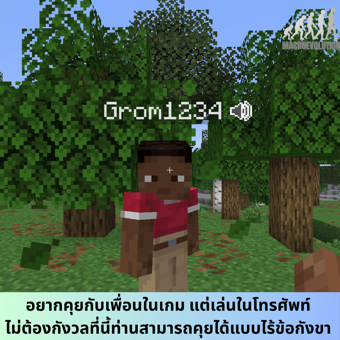 Voice.png