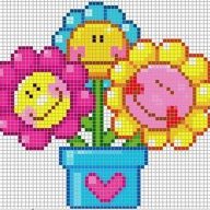 Tulip