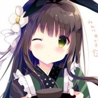 TheNongice