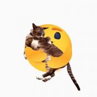 Catnip_ssss