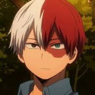 TODOROKI
