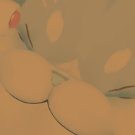 KumaMeowKawaii
