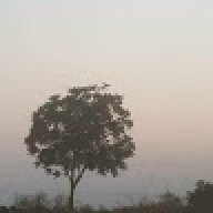 Jintanagan