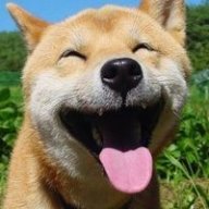 NAMIKAMI_Z