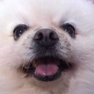 MaxDOGGG