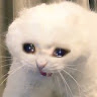 Mogu00