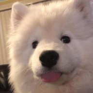 khaowoatmilk