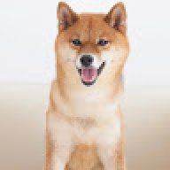 pppswswgwyg