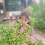 พิมพ์ภิกษุ จิรพรธราวิทย์