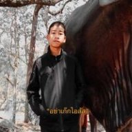 พงศ์ปณต 191