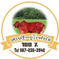krai9ac