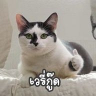 จิรายุ ตันสิน