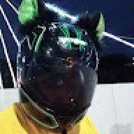 Ai01529