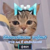 Spidermeaw