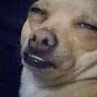 Doge_dog0ax