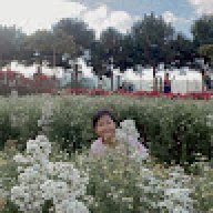 พัชรา