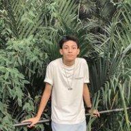 Sloth16115