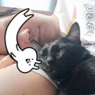 monecat