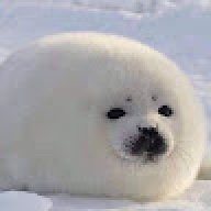 SZXVBN