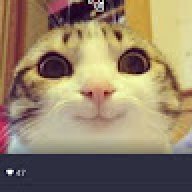 ด.ช. อนุกูล บุญโกมล