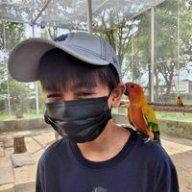 นัสNo1