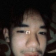 Beerdulex