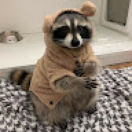 Ratatouille