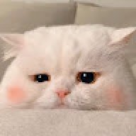 Fuangfa;-;
