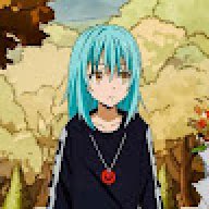 FD Shin