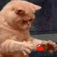 NSJWBDB273