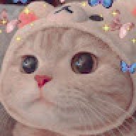 Tama449