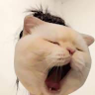 AMMYYX97