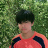PLUM11