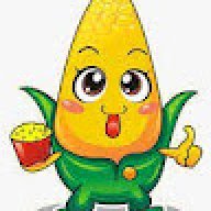 Alip7961