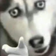 inwgun007