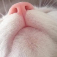 KaowKz