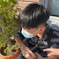 Dekchaichi