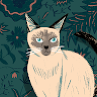 aomaom_st
