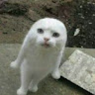 chanisorn