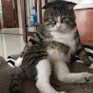 Jiobo
