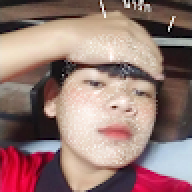 fogus12313