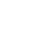 Sir_Ednit