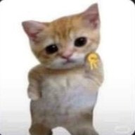 SLVOSSkld11