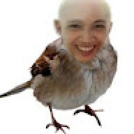 Preamwiro26