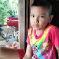 ฉลาม ขาว 733