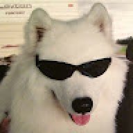 sxngnxea
